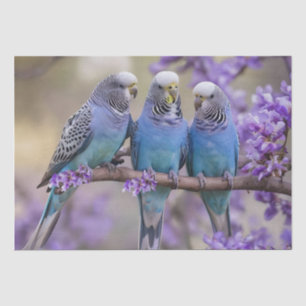 Tree Top Chatter: Blue Budgies in Jacaranda Tree, Seidenpapier