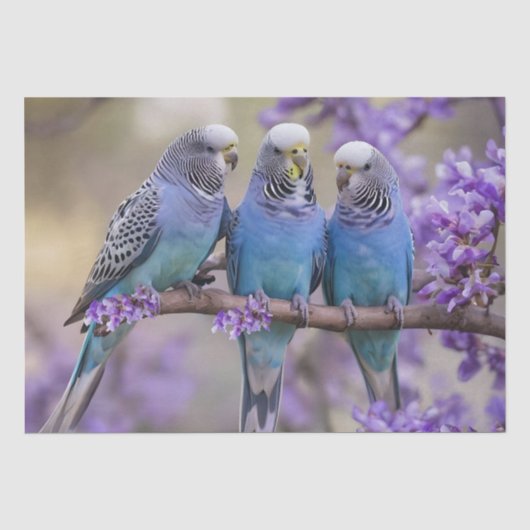 Tree Top Chatter: Blue Budgies in Jacaranda Tree, Seidenpapier (Vorderseite)