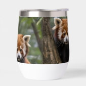 "Tree-top-Explorers: Baby Red Pandas mit Blick auf (Links)