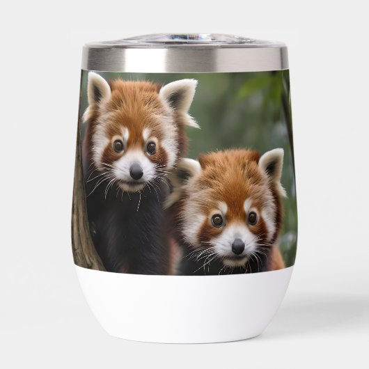 "Tree-top-Explorers: Baby Red Pandas mit Blick auf (Vorderseite)