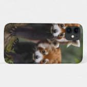 "Tree-top-Explorers: Baby Red Pandas mit Blick auf Case-Mate iPhone Hülle (Rückseite (Horizontal))
