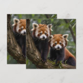"Tree-top-Explorers: Baby Red Pandas mit Blick auf Dankeskarte (Vorne/Hinten)