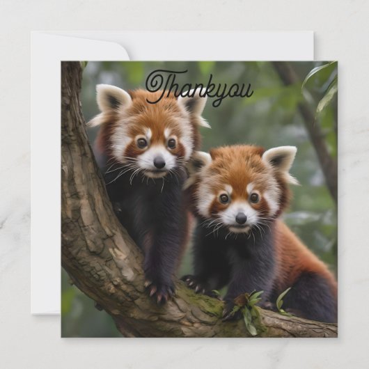 "Tree-top-Explorers: Baby Red Pandas mit Blick auf Dankeskarte (Vorderseite)