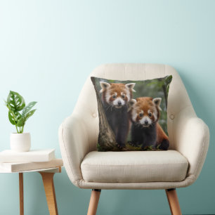 "Tree-top-Explorers: Baby Red Pandas mit Blick auf Kissen