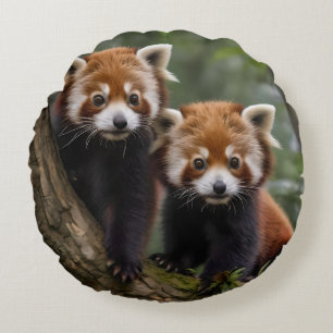 "Tree-top-Explorers: Baby Red Pandas mit Blick auf Rundes Kissen