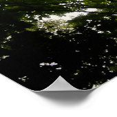 Tree Tops im blauen Ridge Mountain Poster (Ecke)