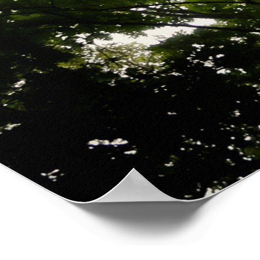 Tree Tops im blauen Ridge Mountain Poster (Ecke)