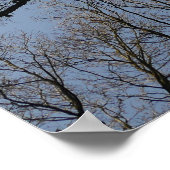 Tree Tops Poster (Ecke)