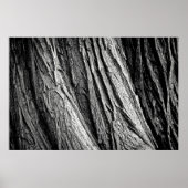 Tree tree bark tribe wood poster (Vorne)