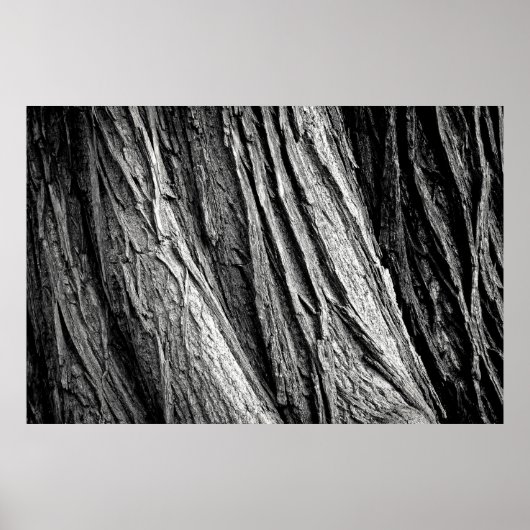 Tree tree bark tribe wood poster (Vorne)