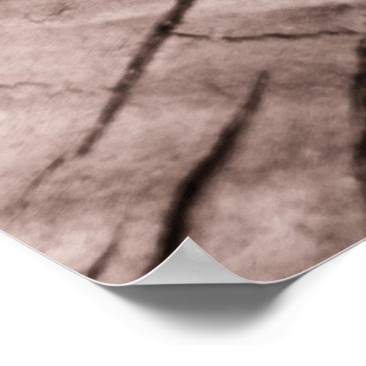 Tree trump poster (Ecke)