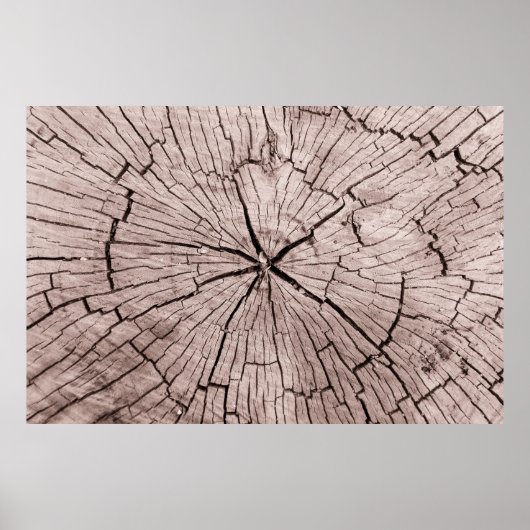 Tree trump poster (Vorne)