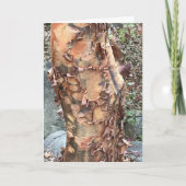 Tree Trunk Feiertagskarte (Vorderseite)