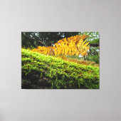 Tree Trunk in Lush Moss - Leinwanddruck (Vorderseite)