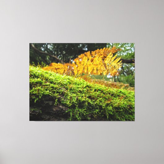 Tree Trunk in Lush Moss - Leinwanddruck (Vorderseite)