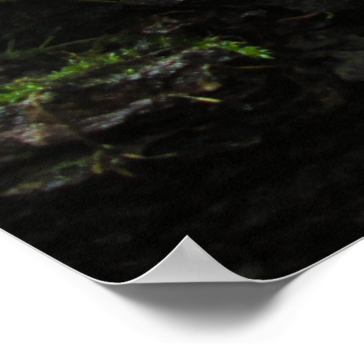 Tree Trunk in Lush Moss - Personalised Poster (Ecke)