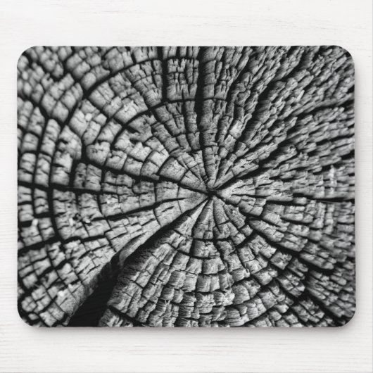 Tree trunk mousepad (Vorne)