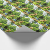 Tree Trunk Nature Fotografy Lake Park Geschenkpapier (Ecke)