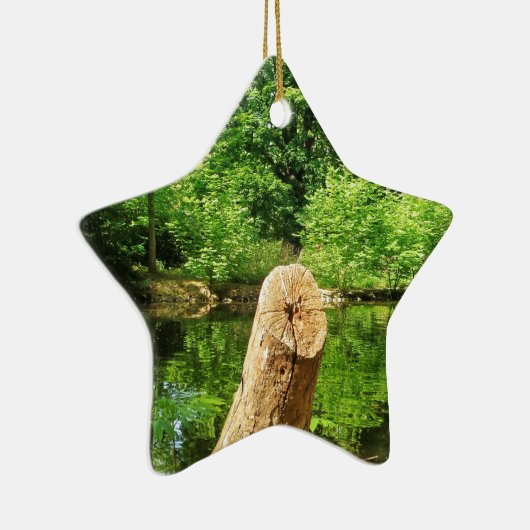 Tree Trunk Nature Fotografy Lake Park Keramik Ornament (Rechts)
