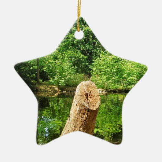 Tree Trunk Nature Fotografy Lake Park Keramik Ornament (Vorne)