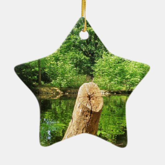 Tree Trunk Nature Fotografy Lake Park Keramik Ornament (Hinten)