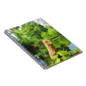 Tree Trunk Nature Fotografy Lake Park Notizblock (Rechte Seite)