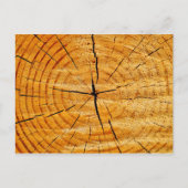 Tree Trunk Postkarte (Vorderseite)