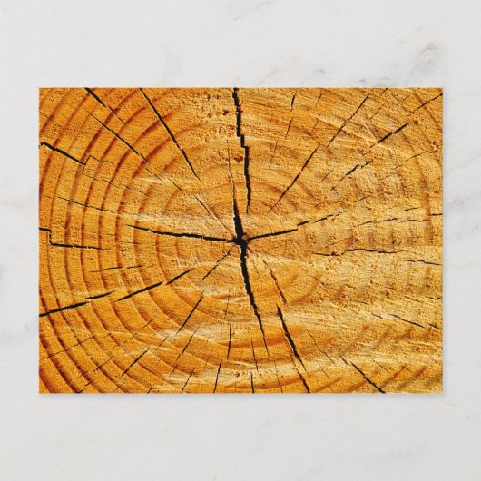 Tree Trunk Postkarte (Vorderseite)