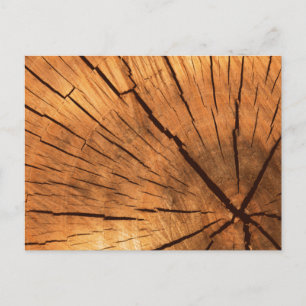 Tree Trunk Rings Postkarte