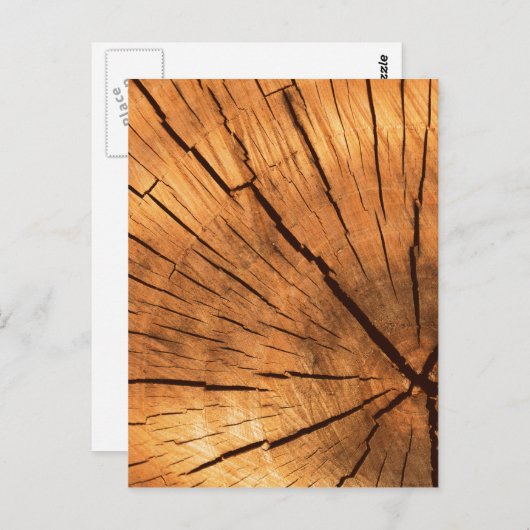Tree Trunk Rings Postkarte (Vorne/Hinten)