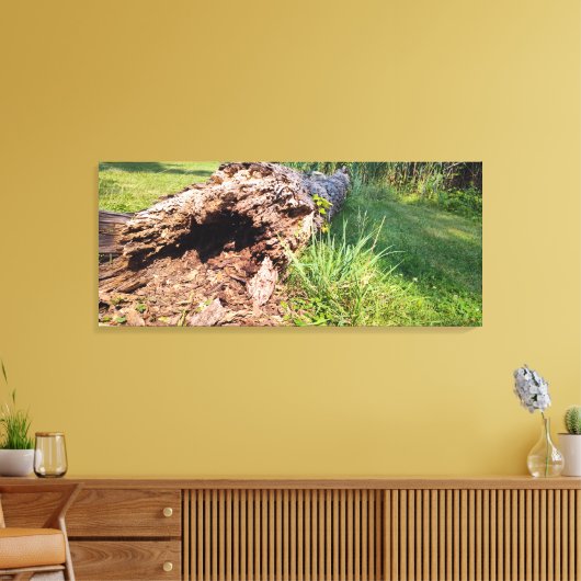 Tree Trunk Shattered Leinwanddruck (Insitu (Wohnzimmer))