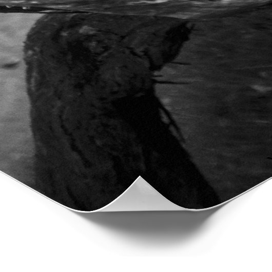 Tree Trunk Spiral B&W Fotograf - Poster (Ecke)