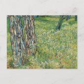 Tree Trunks Grass Vincent van Gogh Postkarte (Vorderseite)