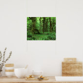 Tree Trunks und Ferns auf dem Waldboden von Olympi Poster (Küche)