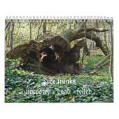 Tree trunks uprooted - dead - felled kalender (Titelbild)