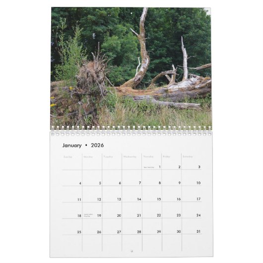 Tree trunks uprooted - dead - felled kalender (Jan 2026)