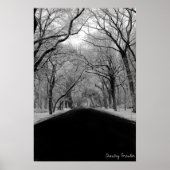 Tree Tunell Poster (Vorne)