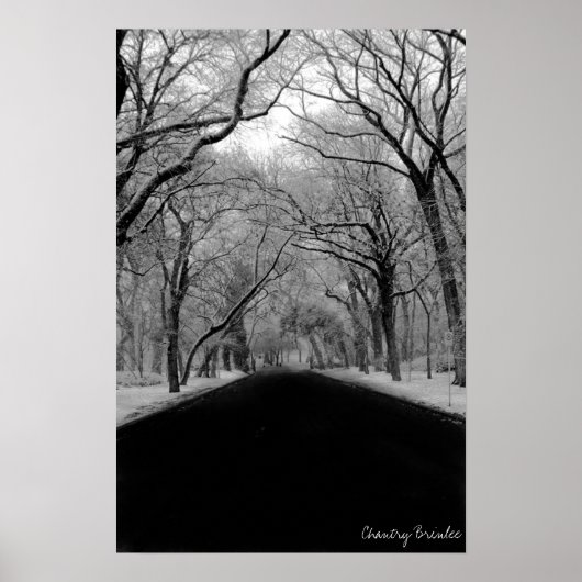 Tree Tunell Poster (Vorne)