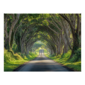 Tree Tunnel Kauai Fotografy Wall Art Poster (Vorderseite)