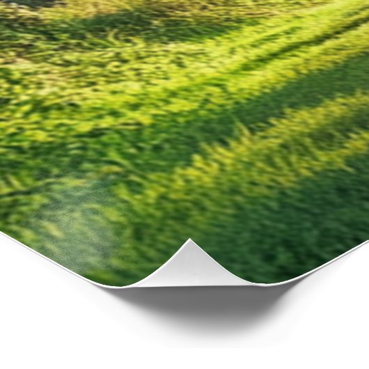 Tree Tunnel Kauai Fotografy Wall Art Poster (Ecke)