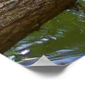 Tree Turtle Poster (Ecke)
