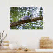 Tree Turtle Poster (Küche)