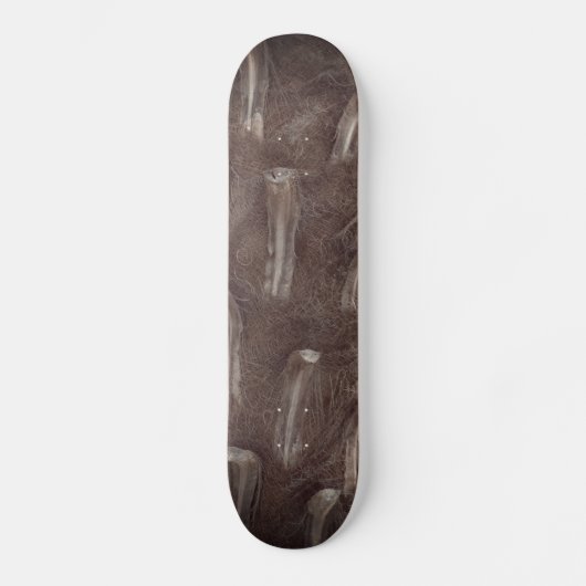 Tree Tusks Skateboard (Vorderseite)