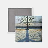 Tree und Shadow Calke Abbey Derbyshire Magnet (Vorderseite/Rückseite)