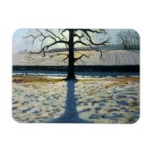 Tree und Shadow Calke Abbey Derbyshire Magnet (Horizontal)