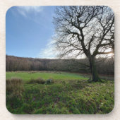 Tree view.. getränkeuntersetzer (Vorderseite)