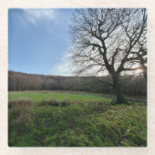 Tree view.. glasuntersetzer (Vorderseite)