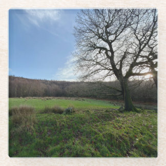 Tree view.. glasuntersetzer