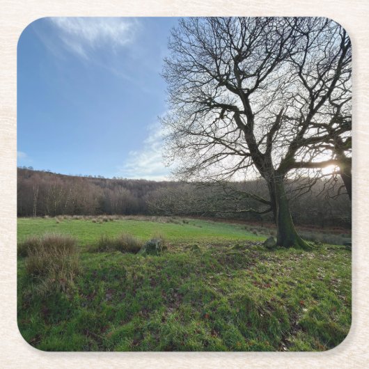 Tree view.. rechteckiger pappuntersetzer (Vorderseite)