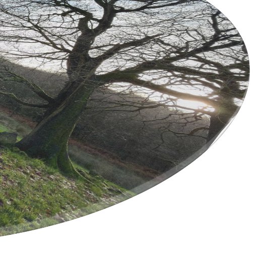 Tree view.. schneidebrett (Ecke)